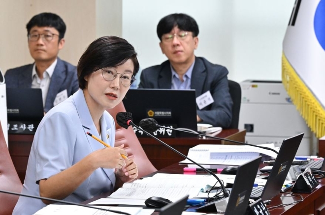김미주 서울시의원, 크리스마스 마켓 투심 및 예산 무단 집행 감사 촉구