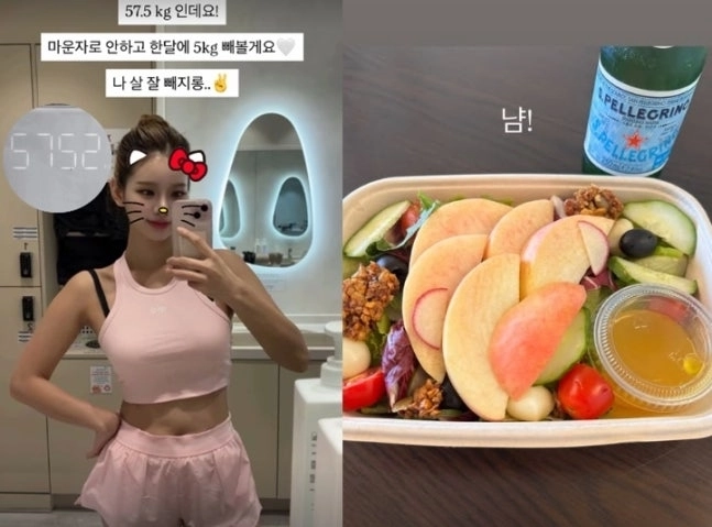 맹승지 소셜미디어(SNS) 캡처