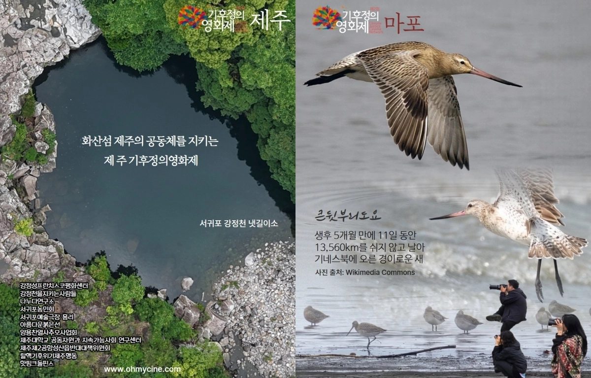 마포에서 ‘나는 강이다’의 극장을 여는 정희정 관객추진단은 큰뒷부리도요의 이동을 통해 국경을 넘어선 지구공동체를 이야기한다. 왼쪽은 생태법인이 추진 움직임이 일고 있는 강정천. 제2회 기후정의영화제 조직위원회 제공