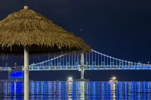 풀멍·숲멍·물멍·파도멍·야경멍…부산 도심 ‘멍때리기’ 5대 명소 아시나요