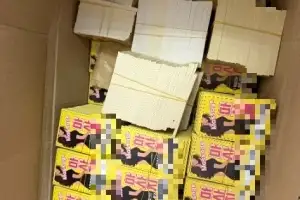 길바닥 뒹굴던 전단지 역추적… 불법체류자 고용 성매 일당 검거