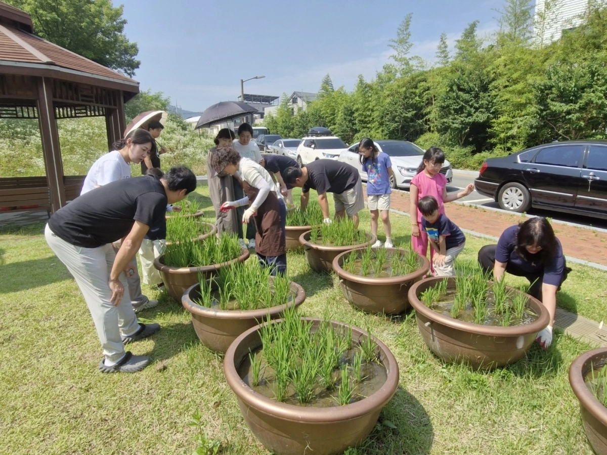용학도서관 생태환경프로그램(텃논체험) 모습