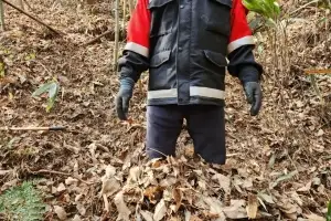 여름, 산불 안전 시기는 ‘옛말’…마른 장마에 수분 감소