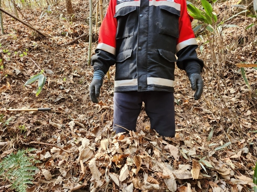 메마른 산림 내 부산물. 서울신문 DB