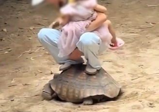 중국의 한 관광지에서 한 여성이 어린아이를 안은 채 살아 있는 거북이 등에 올라탄 모습이 포착돼 논란이 일고 있다. SNS 캡처