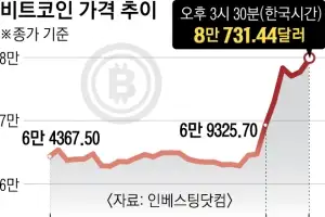 비트코인, 8만 달러 돌파… 美국채 사줄 ‘큰손 만들기’ 통하나
