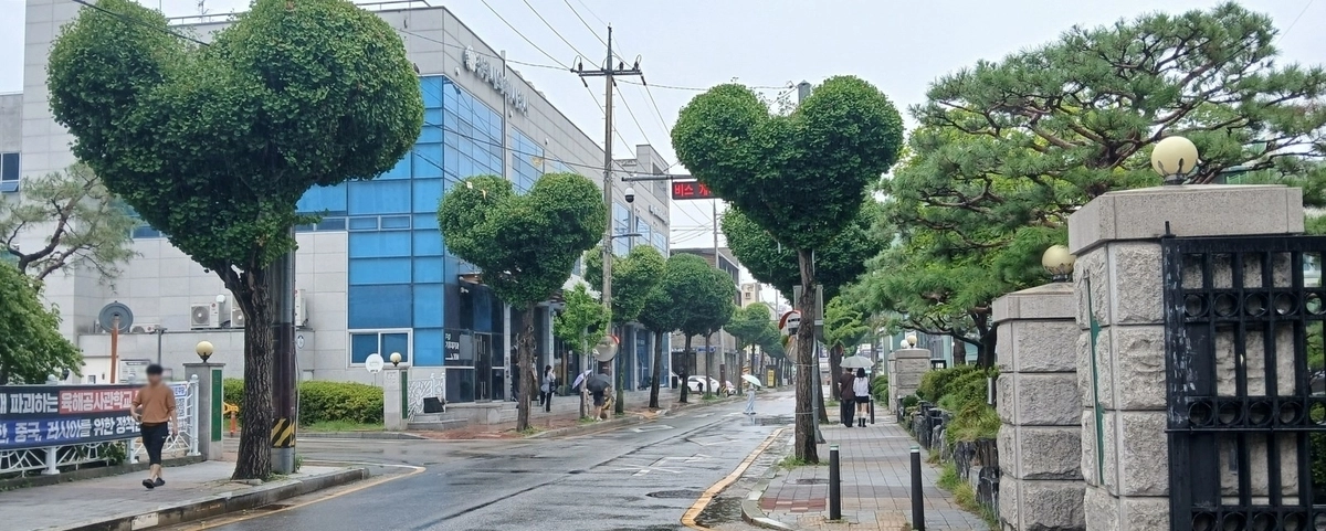 청주시 하트나무 가로수길. 청주시 제공