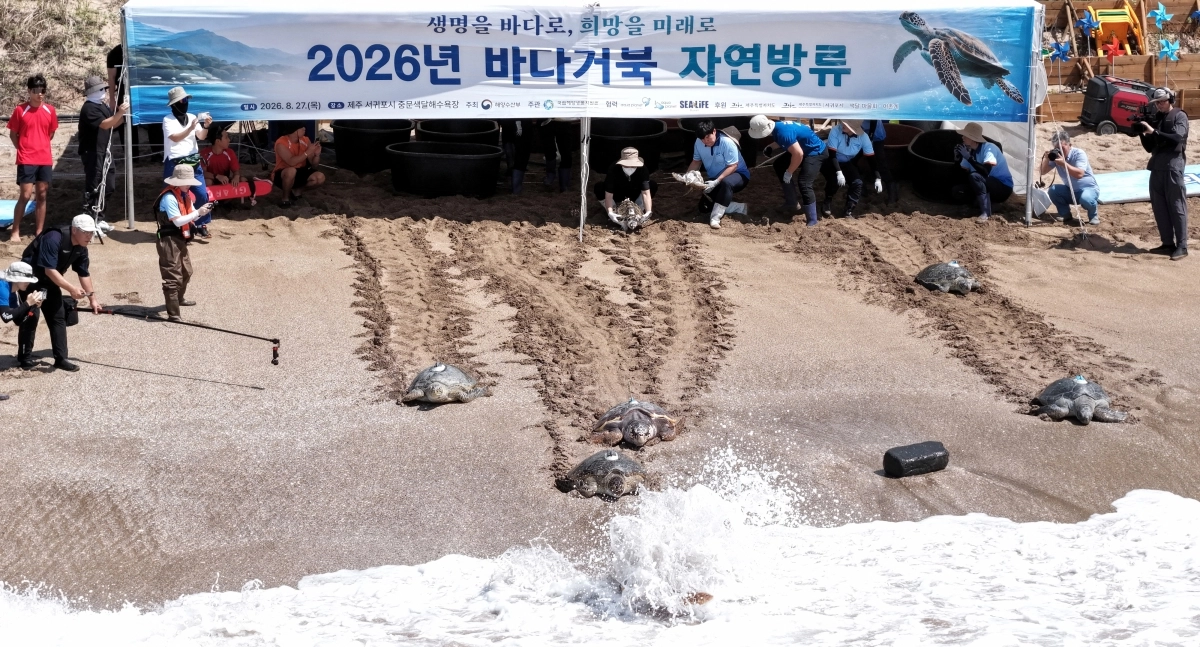 와! 바다다!