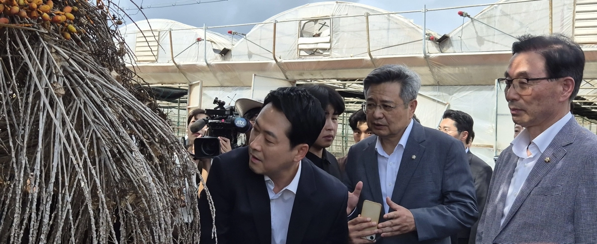 장동혁 국민의힘 대표가 28일 제주실종사건 시신발견 현장인 제주시 한림읍 야자수농장에서 쉽게 부러지는 가지 밑둥을 만지며 이곳에서 숨졌다는게 쉽게 이해가 안된다며 현장을 직접 점검하고 있다. 유튜브 동영상(https://www.youtube.com/watch?v=ADQBGD0tT98) 참조. 제주 강동삼 기자