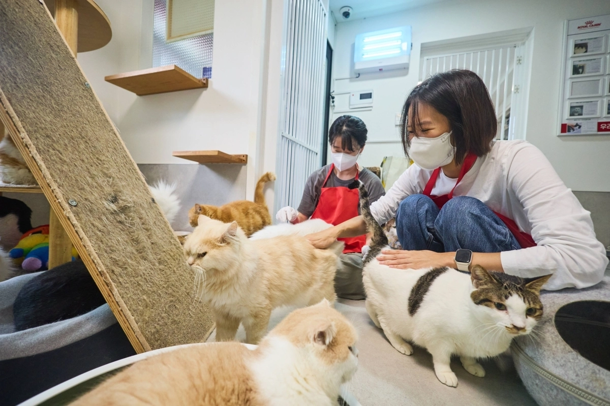[사진] 사진 제공=로얄캐닌코리아
