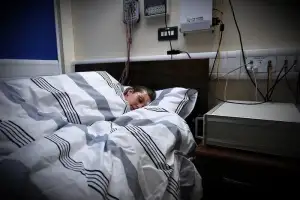 thumbnail - 공부 뒤 낮잠?…뇌는 자는 동안 ‘학습 중 기억할 것’ 꼬리표 붙인다
