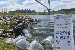 경기도, 미꾸리·쏘가리 등 토종 수산생물 59만 마리 방류
