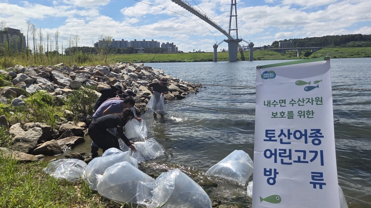 토산 수산생물 방류 사진. 경기도 제공