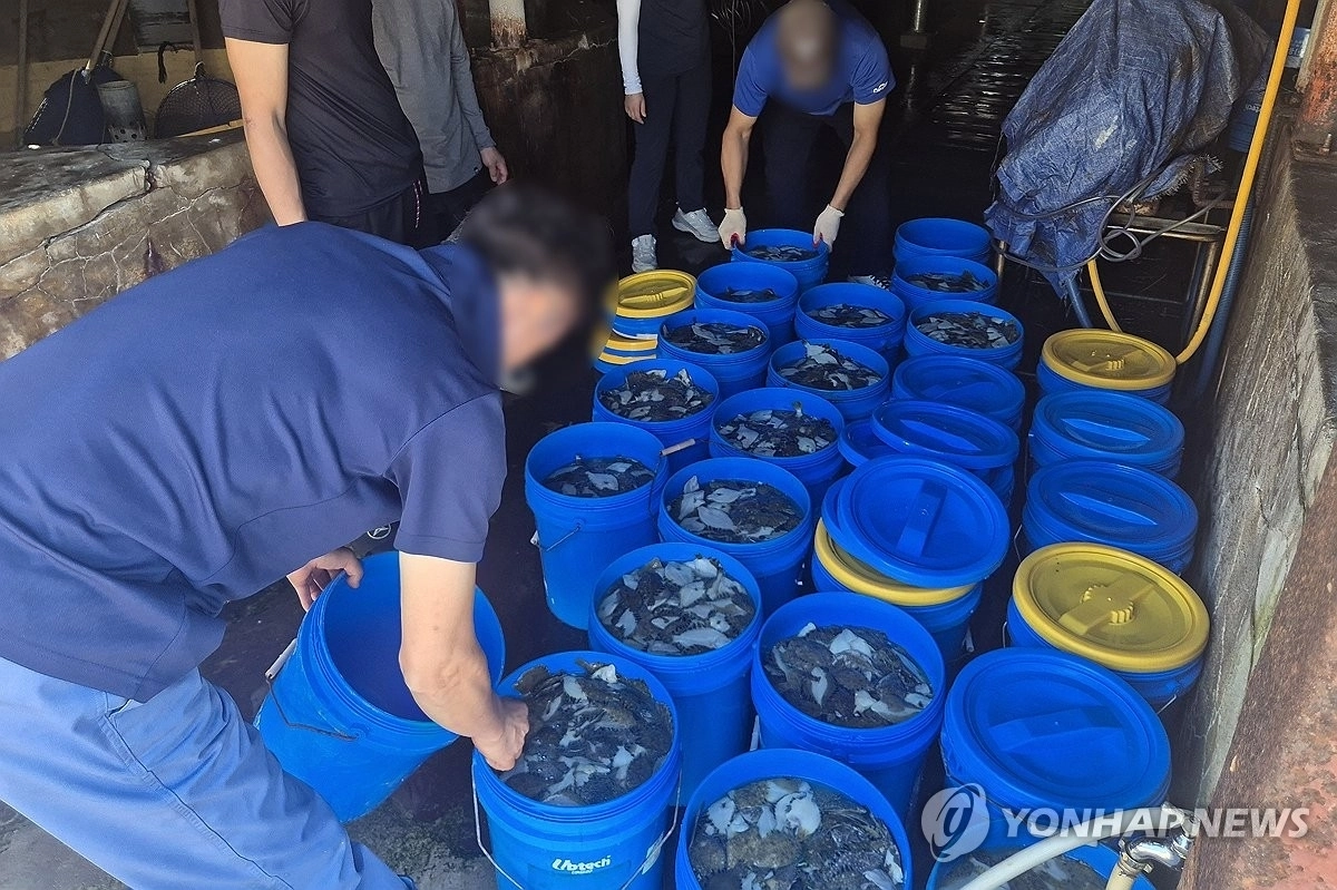 고수온에 폐사한 물고기