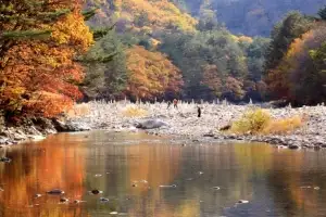 구석구석 인제 여행…시티투어버스 ‘부릉’