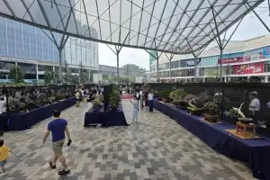 신안군, 2028 세계분재대회 유치 확정…‘글로벌 생태관광 중심지’ 도약
