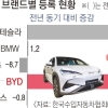 중국, 자국車 ‘저가 경쟁’ 제동
한국차 위협할 경쟁력은 ‘여전’