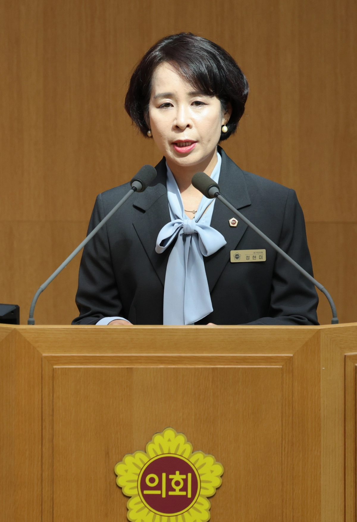 ▲정현미 의원이 3일 열린 제393회 임시회 본회의 도정질문에서 남양주 지역 주요 현안에 대해 발언하고 있다. (사진=경기도의회)