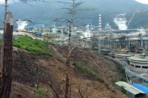“파보니 오염토가 4배” 영풍 석포제련소, 끝없는 환경 오염에 ‘폐쇄론’까지 대두