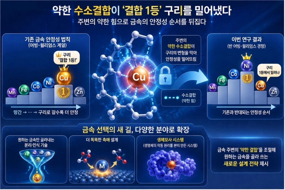 카이스트 제공