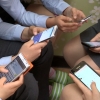 청소년 1777명 사이버도박 자진신고…2억 베팅·모친 폭행도