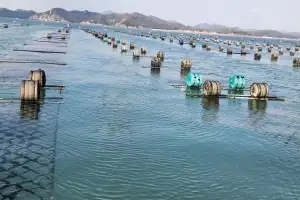 전남광주 수산가공품 생산액 2조 6397억 원 ‘역대 최대’