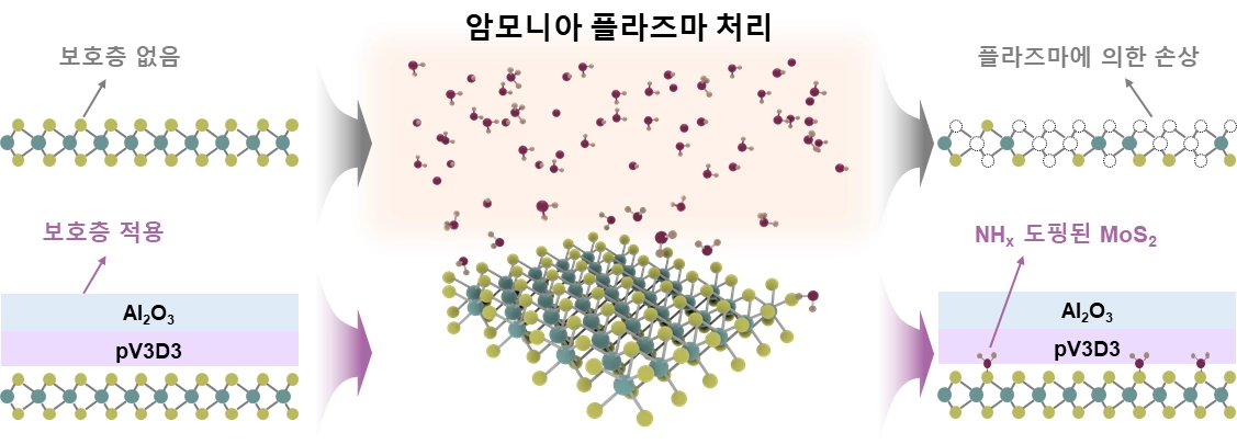초박막 보호층을 이용한 손상 없는 2차원 반도체 플라즈마 도핑  개념도  한국연구재단 제공