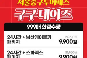 9일부터 9일간, 9900원, 999장…중구, 투어패스 ‘구구구 특가’