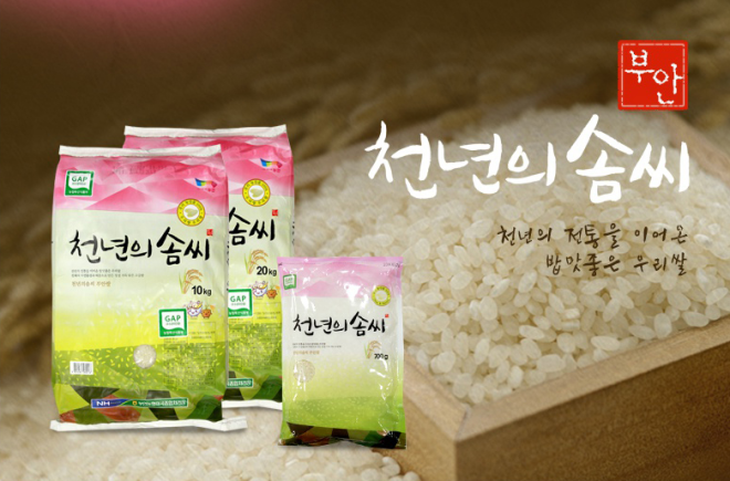 부안 천혜의 자연 품은 ‘천년의 솜씨’