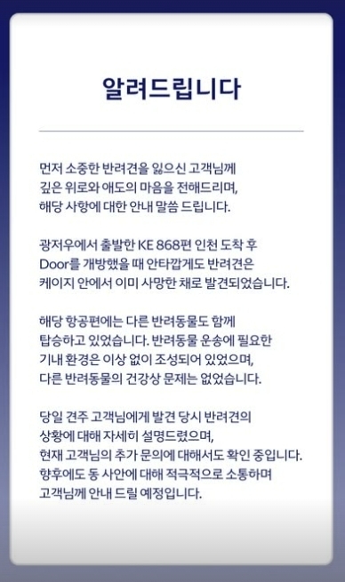 대한항공 인스타그램 캡처