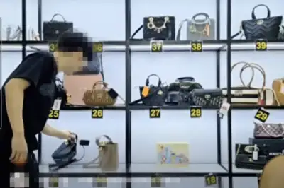 베트남에서 ‘짝퉁’ 판매 총책…인터폴과 공조해 첫 국내 송환