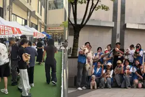 페스룸, 유기동물 입양 플랫폼 ‘포레버’ 확대…광교 입양제서 8마리 새 가족 찾아