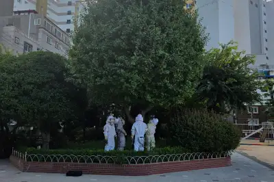 부산 서구 초등학교서 말벌 습격… 안전지킴이 등 8명 쏘여