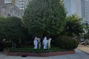 부산 서구 초등학교서 말벌 습격… 안전지킴이 등 8명 쏘여