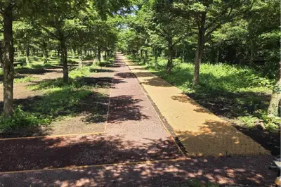 오름·곶자왈·마을 잇는 33㎞ 생태길… 제주 ‘송당 마실길’ 걸어볼까요
