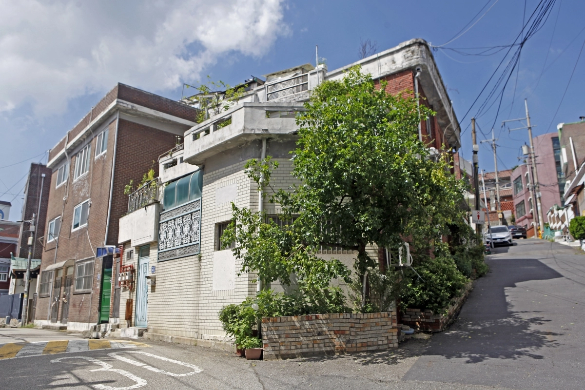 동인천의 골목 모퉁이에서 자라고 있는 대추나무. 도심이지만 동인천이라 볼 수 있는 독특한 장면이다.