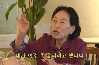전원주 유튜브 중단, 건강 아닌 ‘돈’ 때문이었다…연예인 유튜브 어떻길래