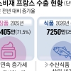 ‘문화 강국’ 프랑스도 반했다… 영토 넓히는 K라이프스타일