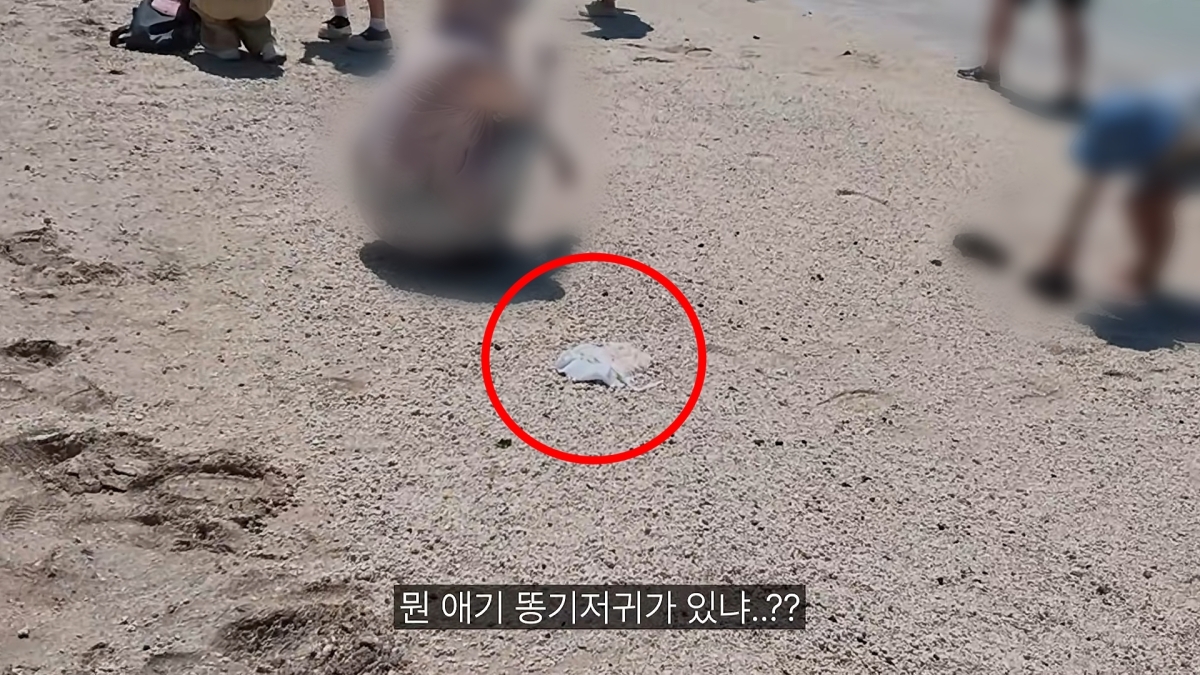 제주 우도 해변에 버려진 기저귀. 유튜브 채널 ‘까르보승엽’