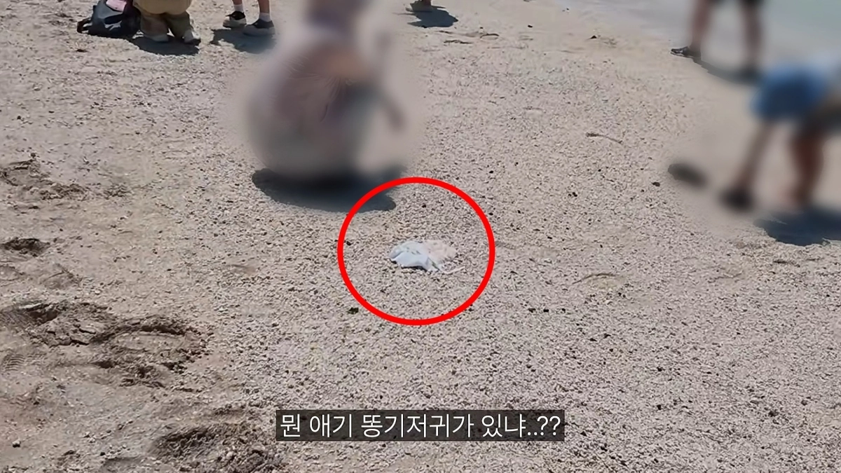 제주 우도 해변에 버려진 기저귀. 유튜브 채널 ‘까르보승엽’
