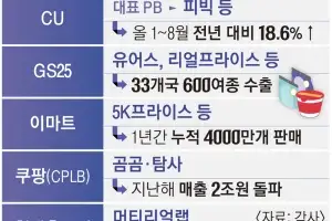 스팀 다리미가 4980원? PB 상품, 얇은 지갑 털었다