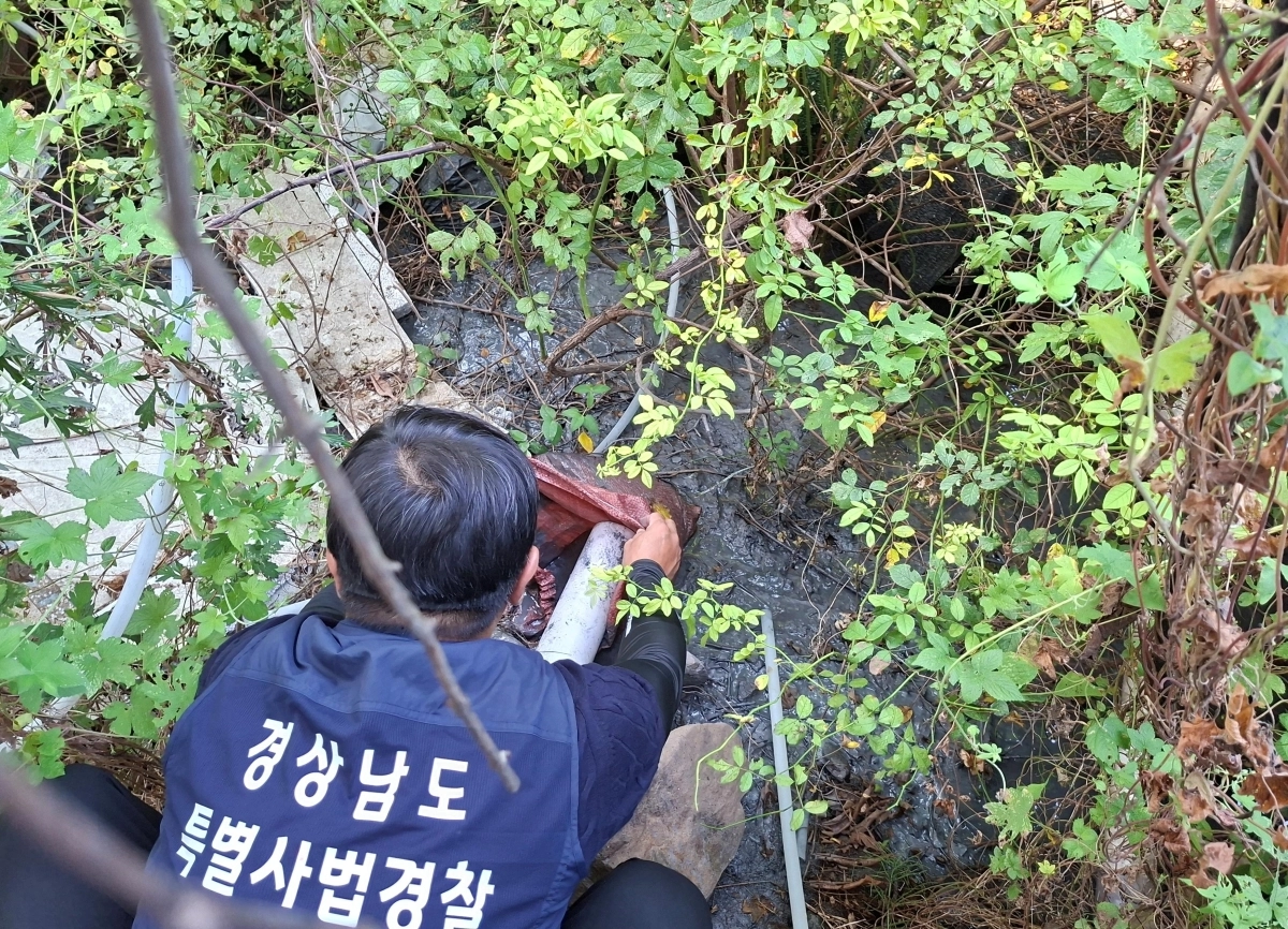 경남도 특별사법경찰 현장 단속 모습. 2026.9.15. 경남도 제공