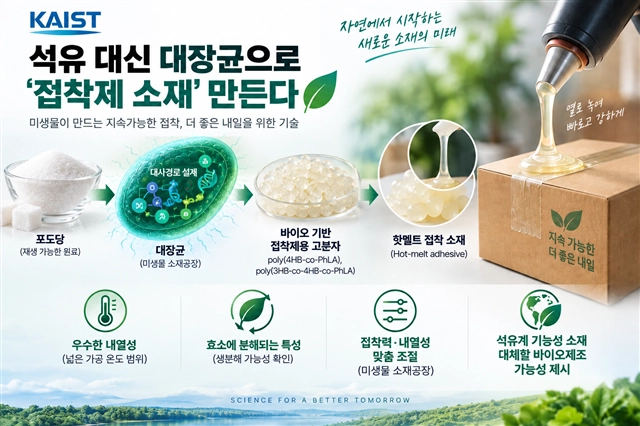 카이스트 제공