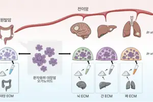 생존 신호 발신 단백질 차단해 암 전이 막는다