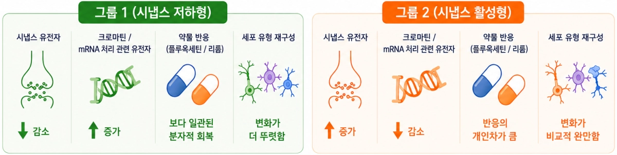 국내 연구진이 자폐의 유전적 다양성을 2그룹으로 나눠 볼 수 있다는 사실을 밝혀냈다.  과학기술정보통신부 제공
