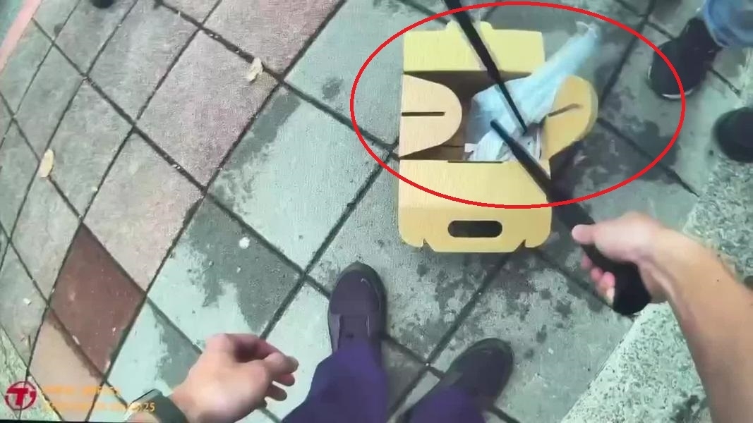 대만 타이베이 톈무 지역의 한 마사지업소를 협박하기 위해 범죄조직이 동원한 뱀. TVBS 캡처
