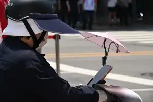 햇빛 아래 펼쳐진 앙증맞은 그늘막