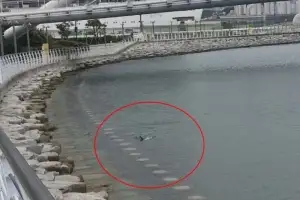 부산 북항 친수공원에 나타난 상어 외해 몰이 중단…스스로  나가도록 유도