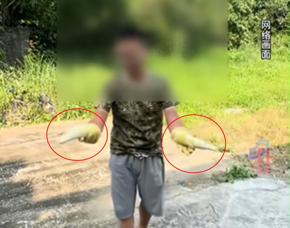 중국 광둥성의 한 업체에서 죽순에 유황으로 훈증 처리를 한 사실이 확인돼 논란이 일고 있다. 더우인 캡처