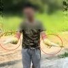 “유황으로 훈증해 뽀얗게” 中, 이번엔 ‘죽순’에 손댔다…식약처 긴급 공지 [이슈픽]
